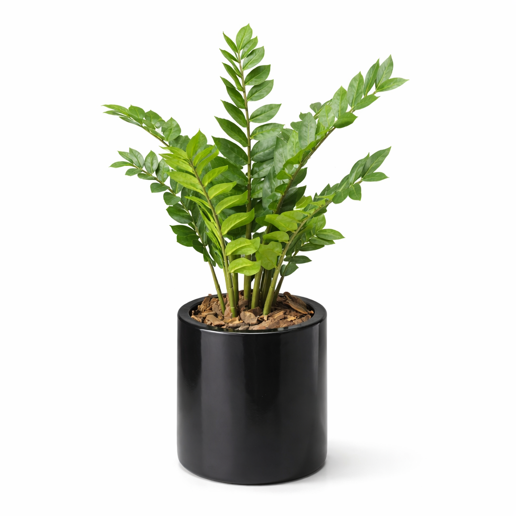 artificial plants 6