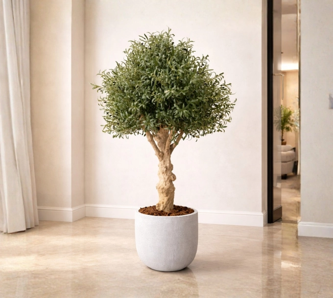 Artificial trees in Dubai by Royal Green House