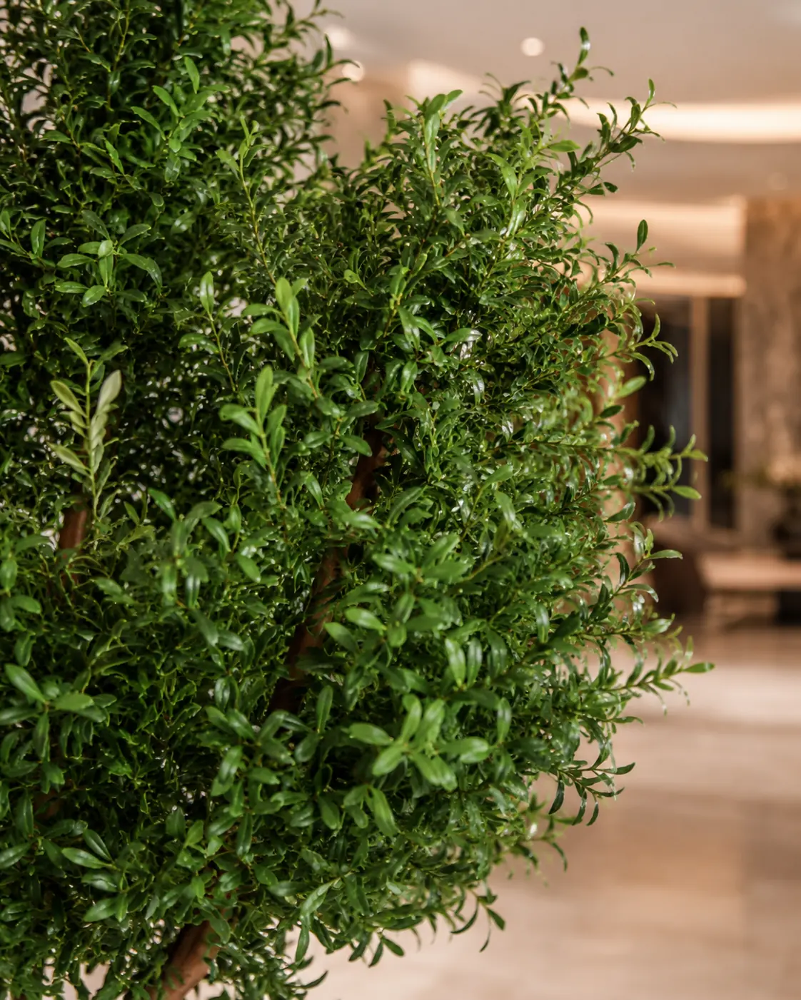 Artificial Olive Tree Leaf Detail