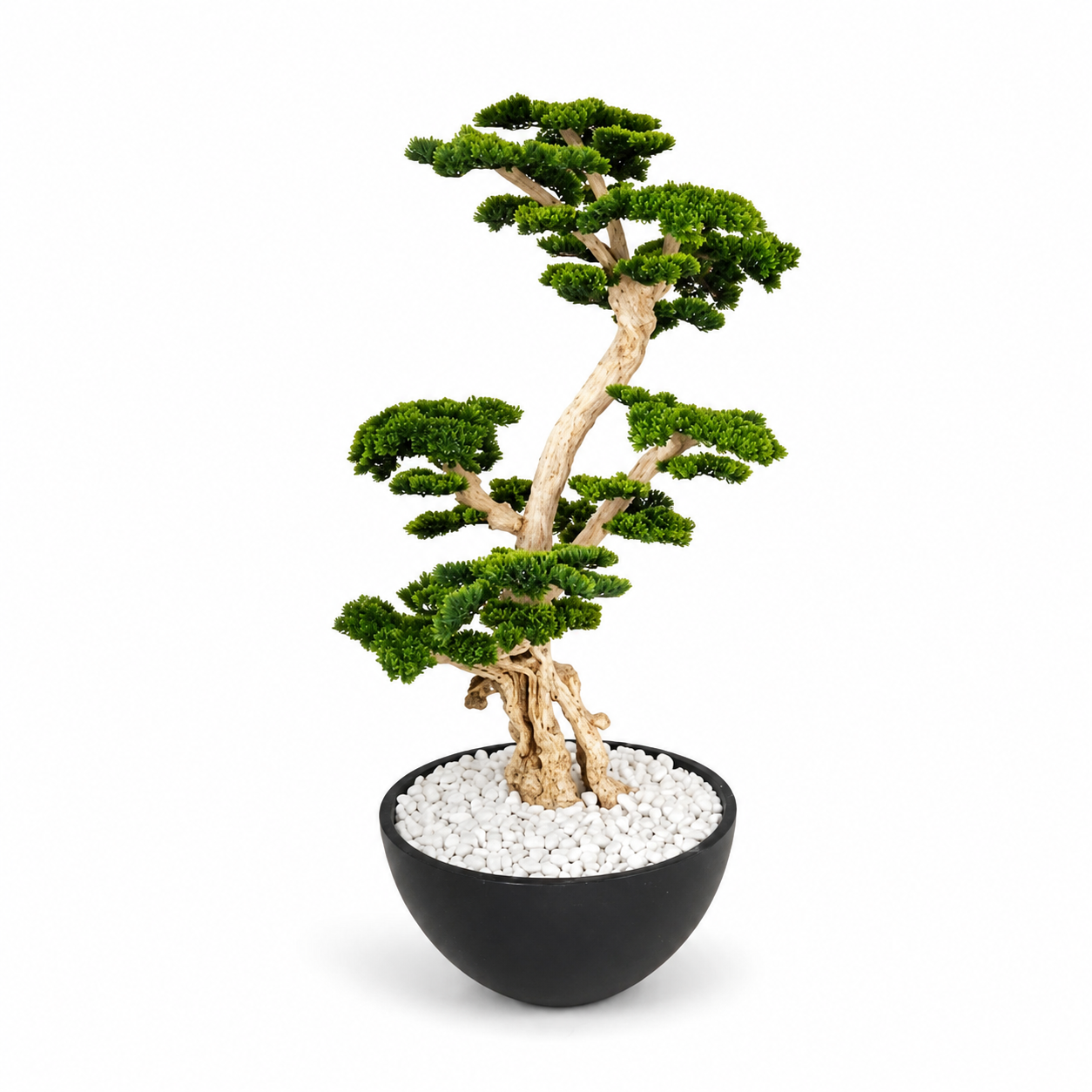 Handmade Coffee Trunk Bonsai Tree
