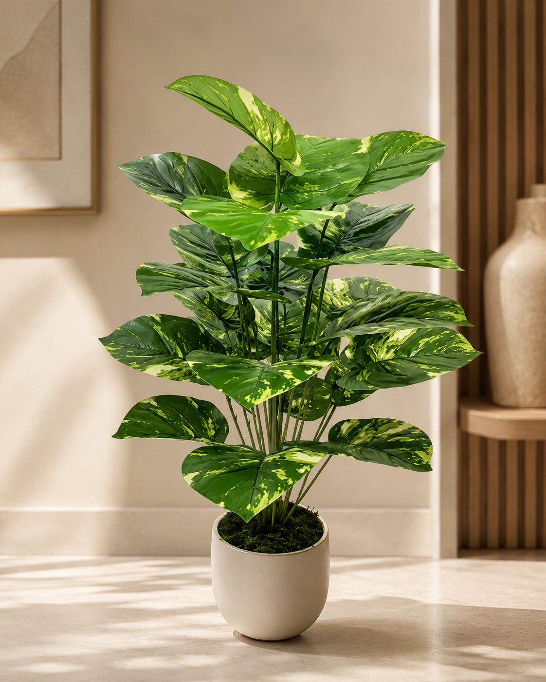 Premium Variegated Money Plant 80 cm