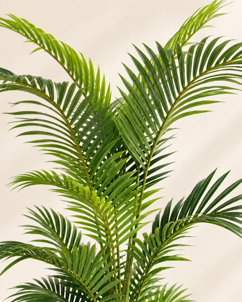 Artificial Areca Palm Leaf Detail