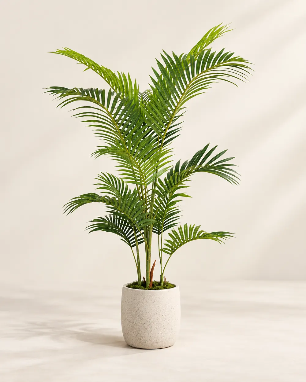 Artificial Areca Palm