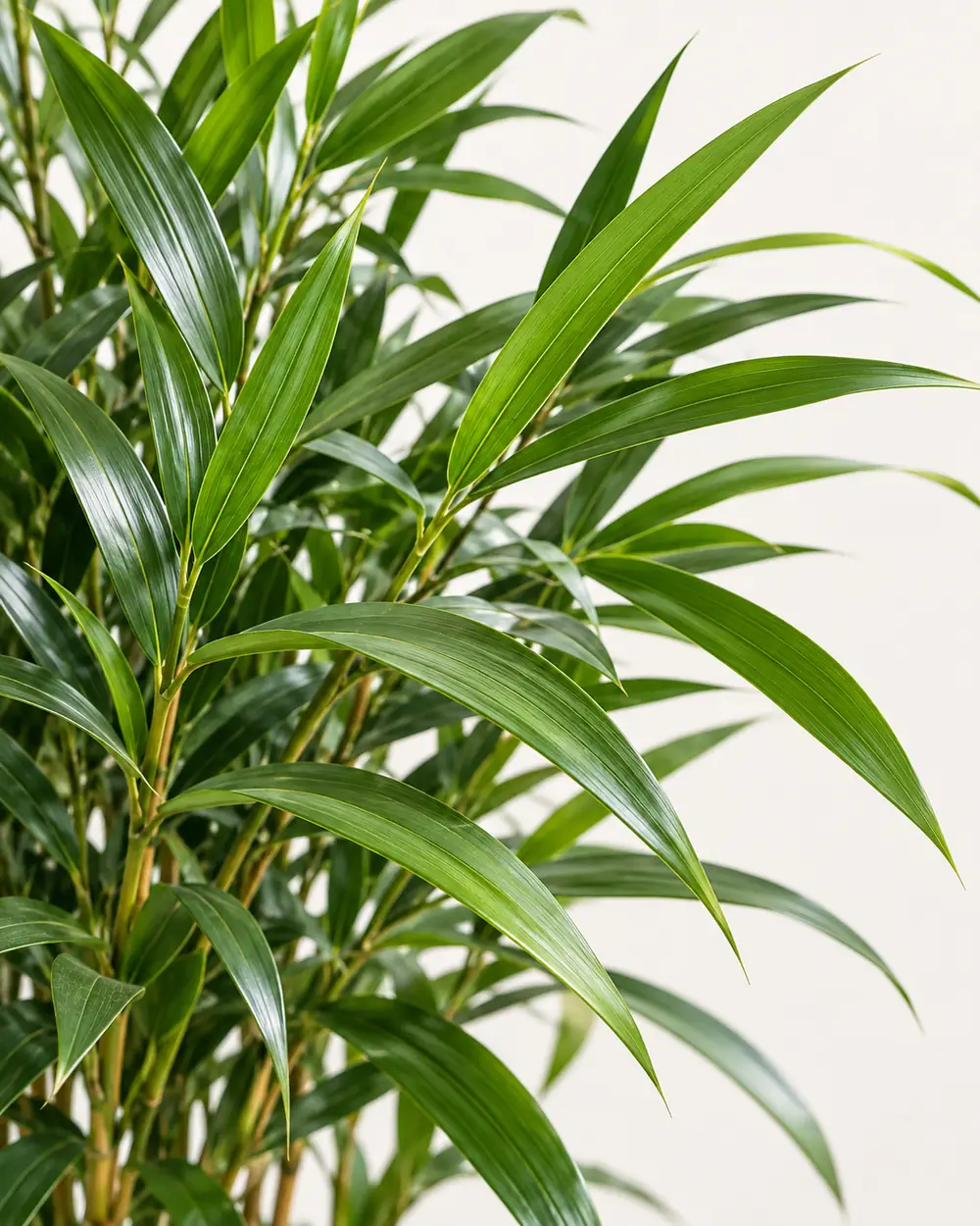 Artificial Bamboo Leaf Detail (2)