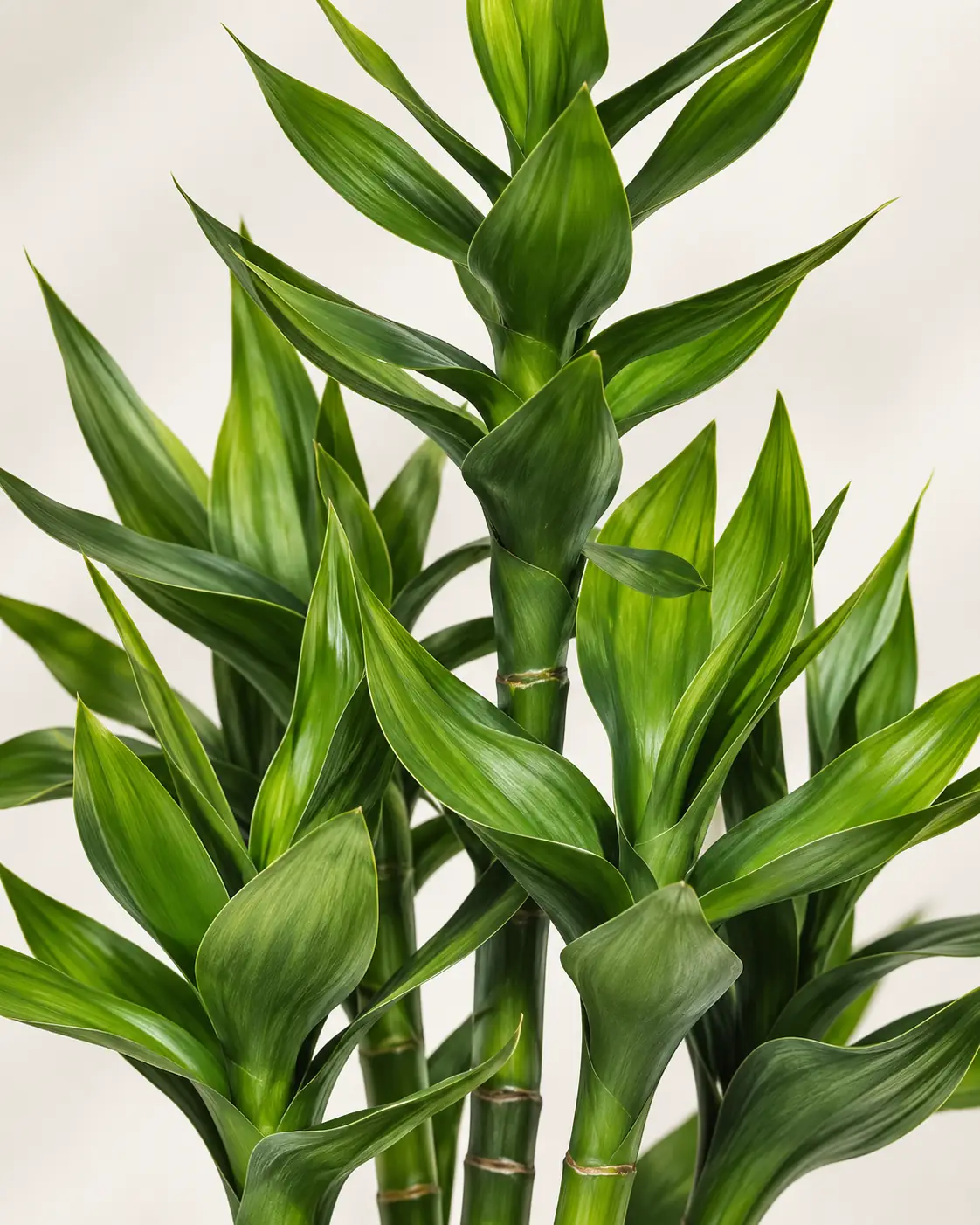 Artificial Bamboo Leaf Detail
