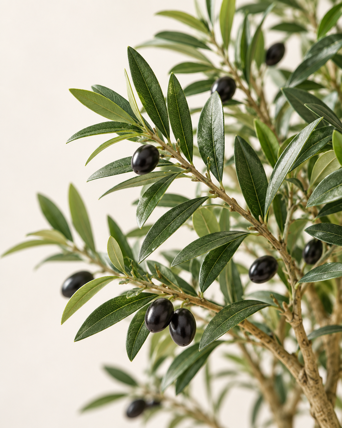 Artificial Olive Leaf and Fruit Detail