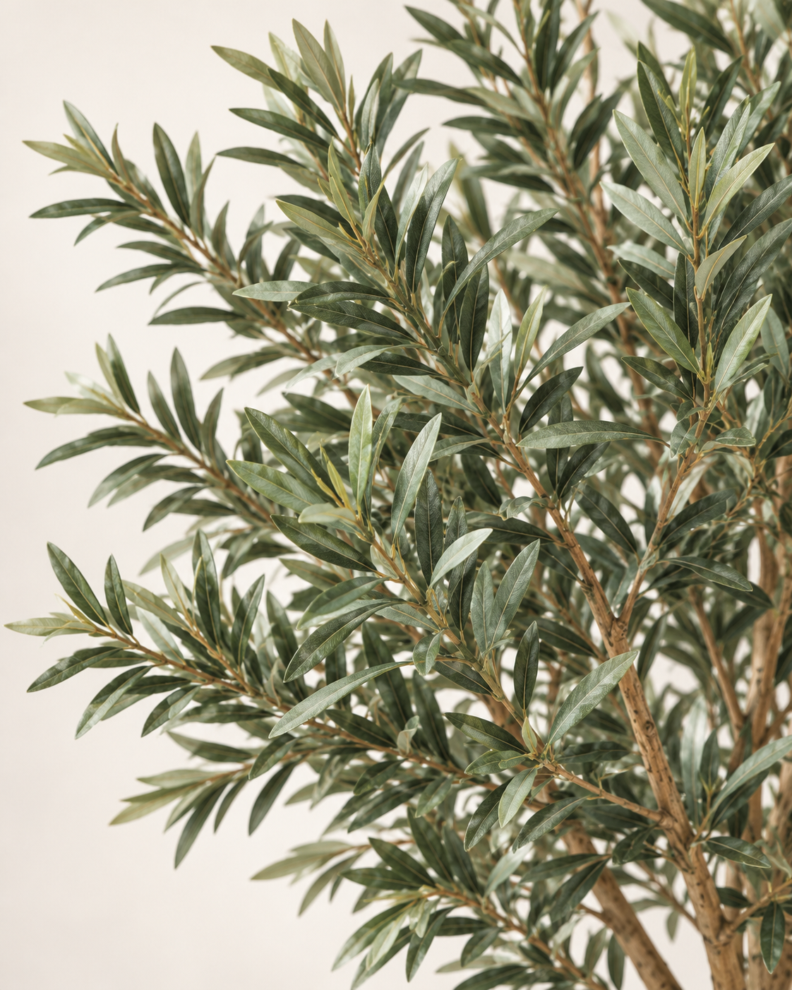 Artificial Olive Tree Leaf Detail