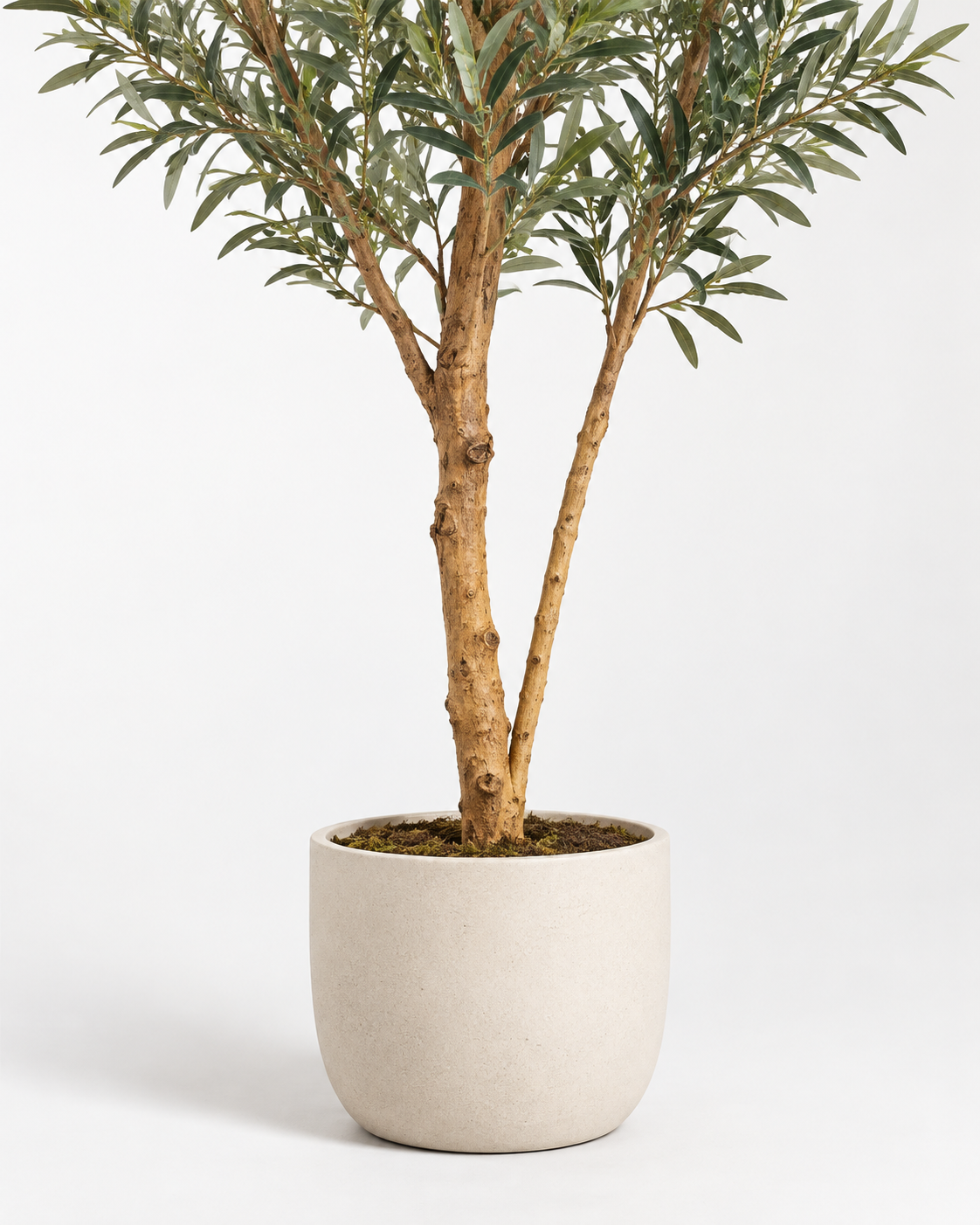 Artificial Olive Tree Real Wood Trunk Detail