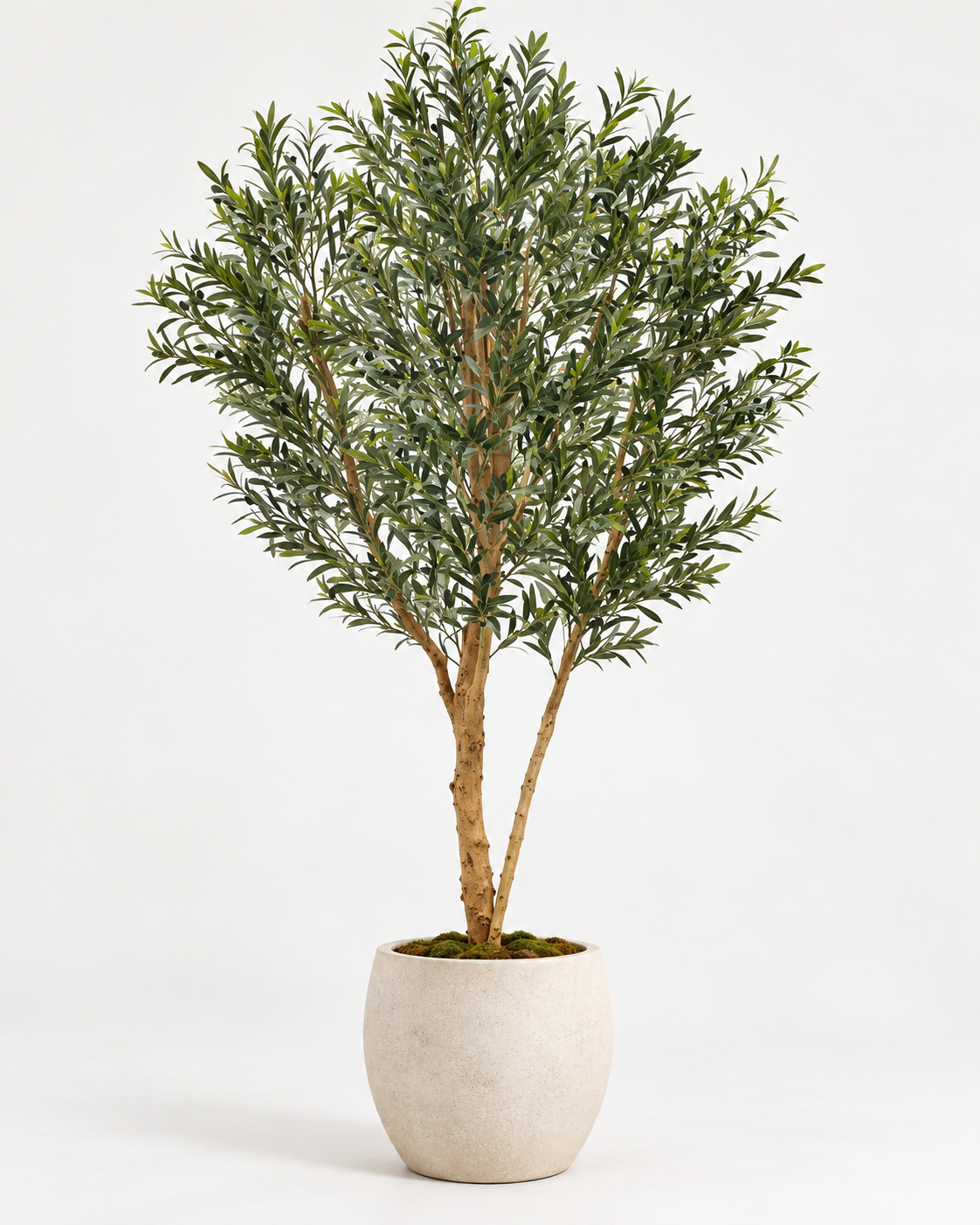 Artificial Olive Tree with Real Wood Trunk 250 cm
