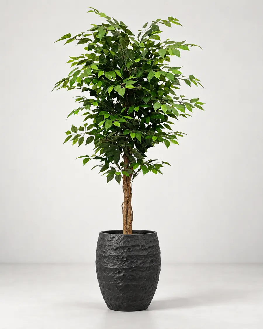 Artificial Real Touch Ficus Tree