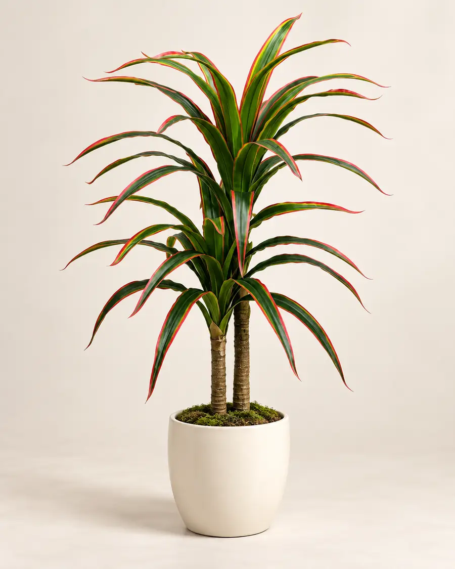 Artificial Red-Edge Yucca Plant 140 cm