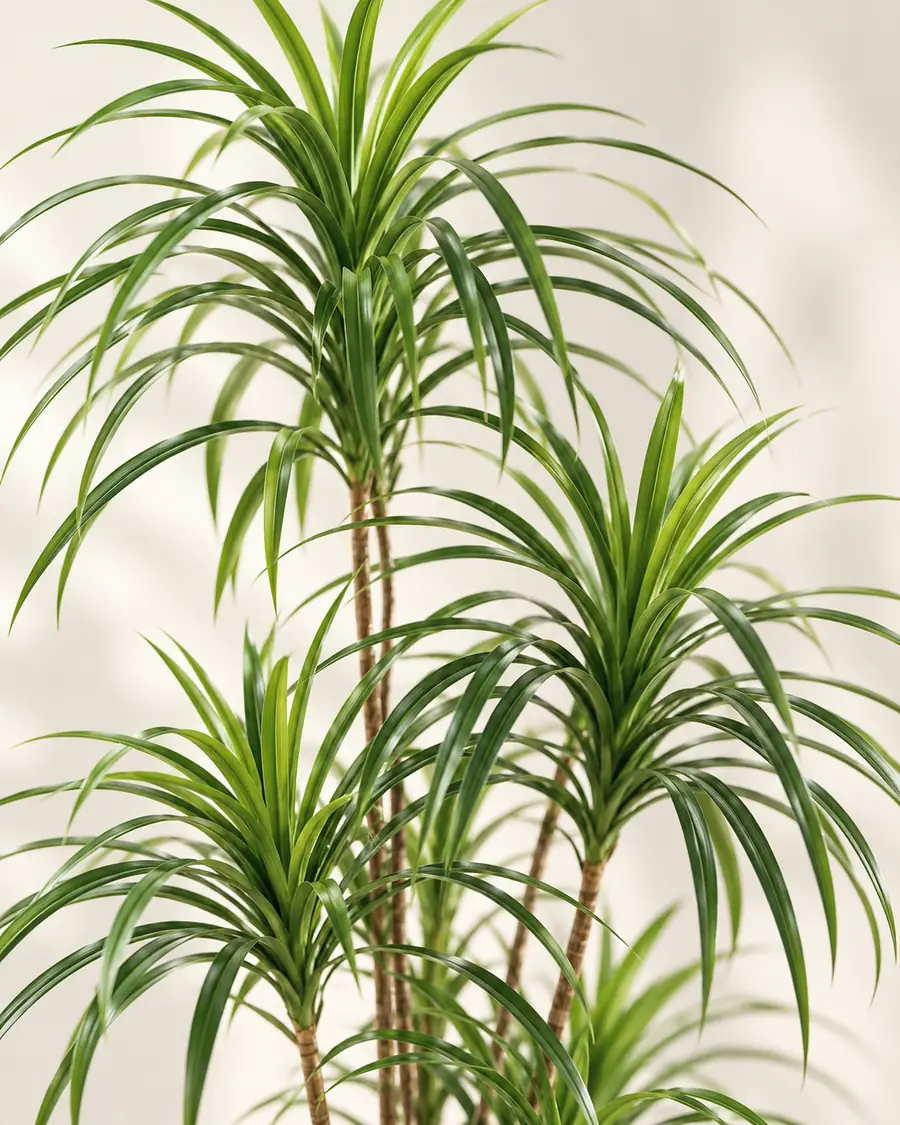 Artificial Yucca Leaf Detail (2)