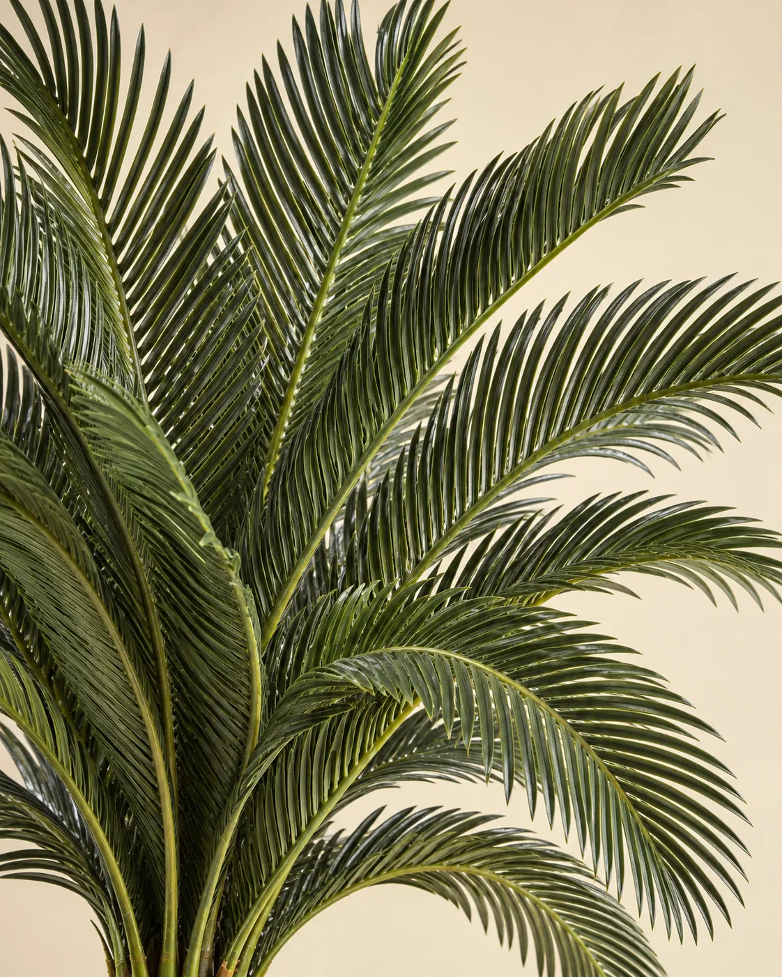 Artificial Cycas Palm Leaf Detail