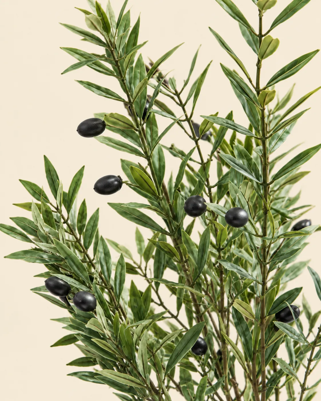 Artificial Olive Leaf and Fruit Detail